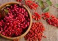 Alternativas naturales a la metformina